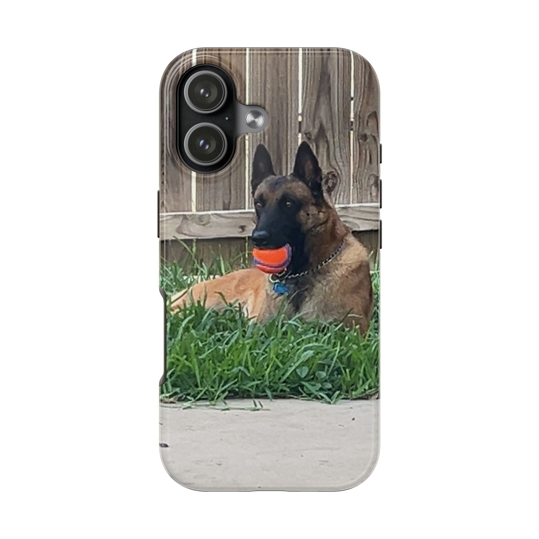 Belgian Malinois Phone Case – Tough Protective Dog Phone Case with Ball Design